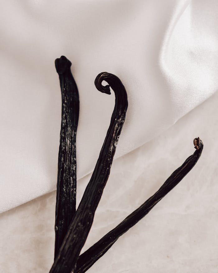 Elegant composition of dried vanilla beans on a delicate white fabric background.