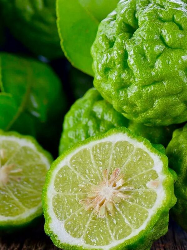 2025/10/1000052944.jpg Esencia Bergamota Cashemere