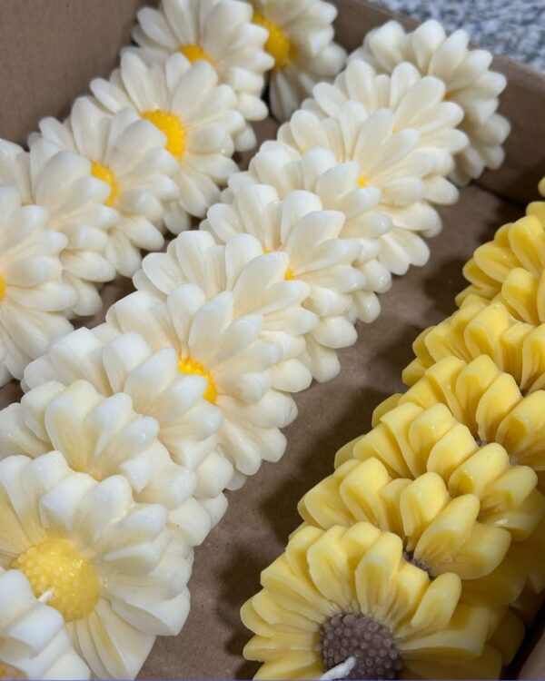 Cera de Soja Multipropósito en Perlas 5kgs