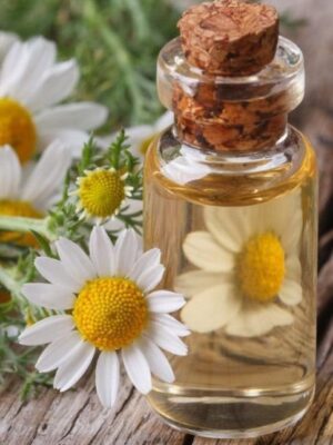 Esencia Candle & Body Care Manzanilla y Flores