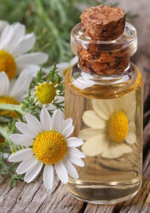 2025/11/1000054525.jpg Esencia Candle & Body Care Manzanilla y Flores