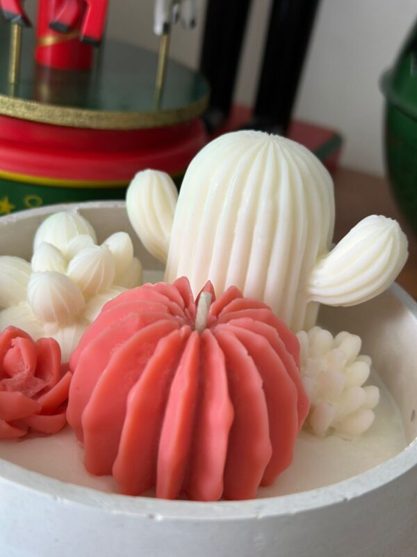 ¡¡CERA DE SOJA APF PREVENTA!!