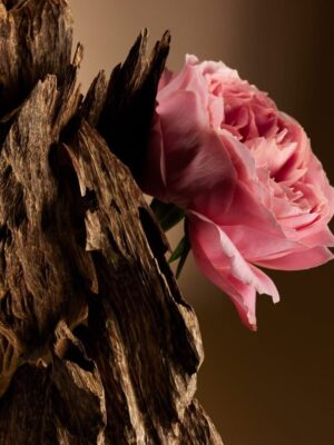 Esencia Rosa Búlgara y Madera
