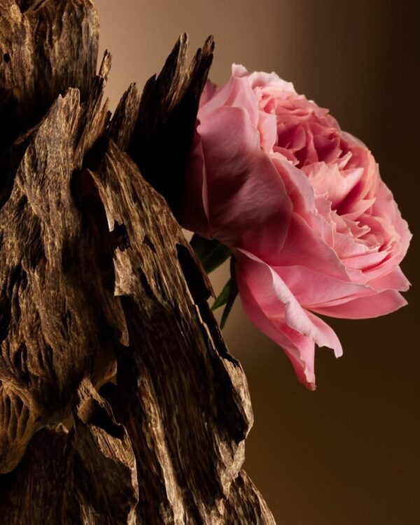 Esencia Rosa Búlgara y Madera